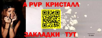 ешки Ставрополь