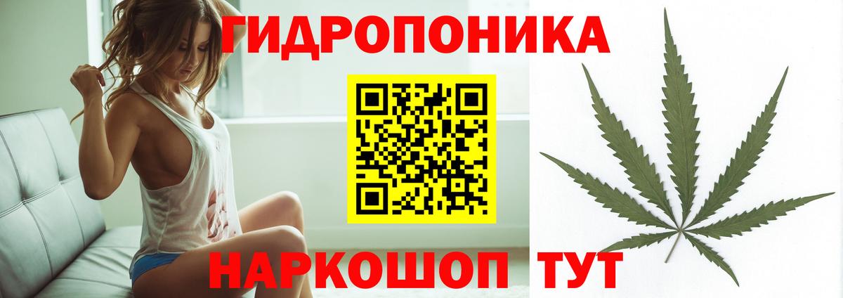 Шишки марихуана OG Kush Чапаевск